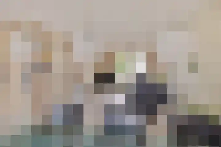 Het Dolomiet 20 Swifterbant thumbnail 14
