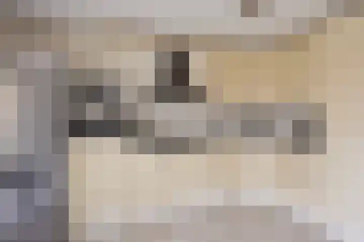 Het Dolomiet 20 Swifterbant thumbnail 16