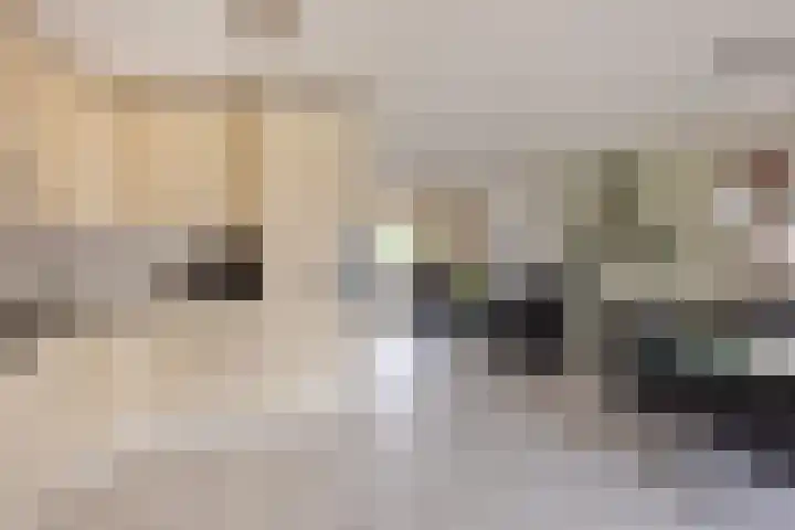 Het Dolomiet 20 Swifterbant thumbnail 18