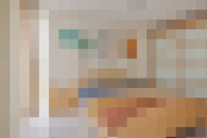 Het Dolomiet 20 Swifterbant thumbnail 19