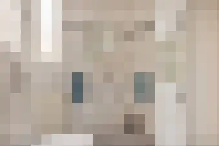 Het Dolomiet 20 Swifterbant thumbnail 22