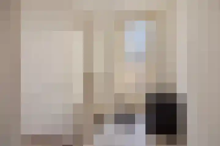 Het Dolomiet 20 Swifterbant thumbnail 27