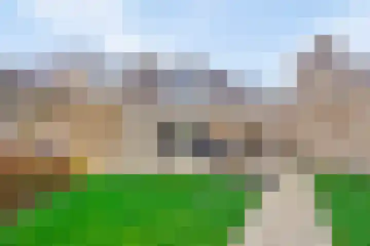 Het Dolomiet 20 Swifterbant thumbnail 33