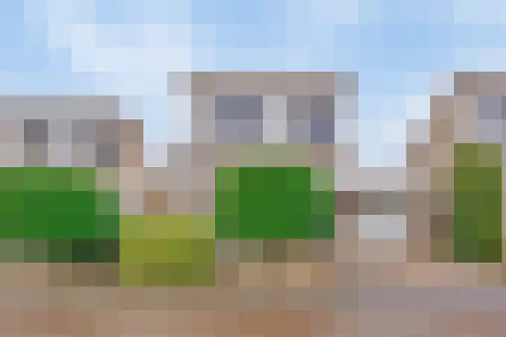 Het Dolomiet 20 Swifterbant thumbnail 6