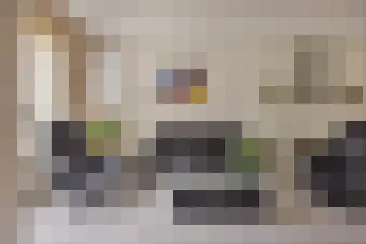 Het Dolomiet 20 Swifterbant thumbnail 9
