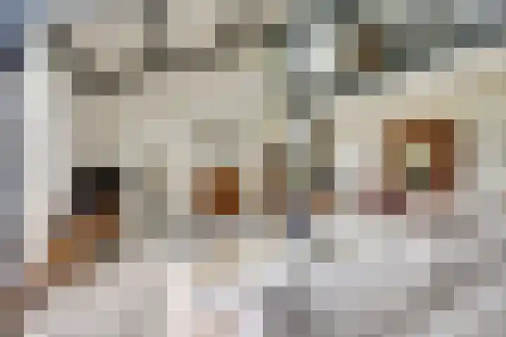 Het Dolomiet 8 Swifterbant thumbnail 10