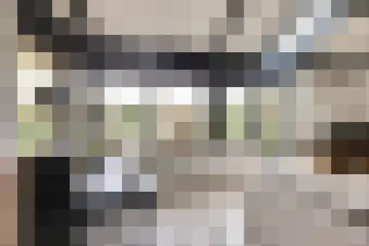 Het Dolomiet 8 Swifterbant thumbnail 11