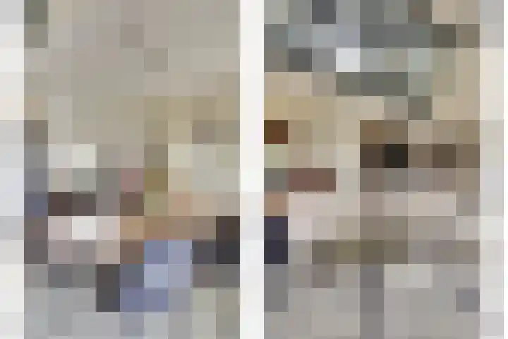 Het Dolomiet 8 Swifterbant thumbnail 12