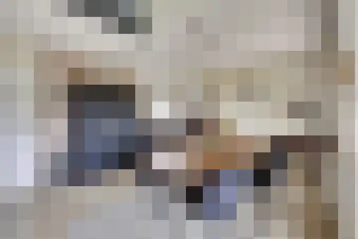 Het Dolomiet 8 Swifterbant thumbnail 15