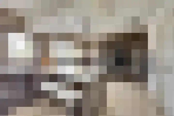 Het Dolomiet 8 Swifterbant thumbnail 17