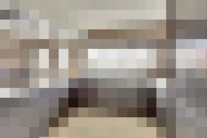 Het Dolomiet 8 Swifterbant thumbnail 18