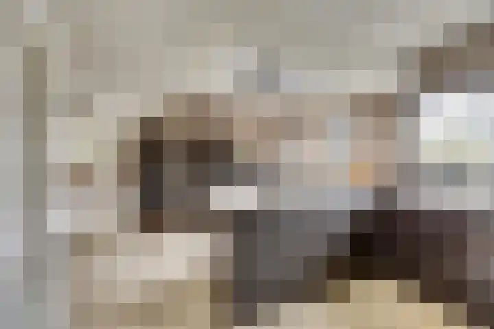 Het Dolomiet 8 Swifterbant thumbnail 19