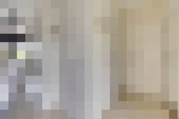 Het Dolomiet 8 Swifterbant thumbnail 21