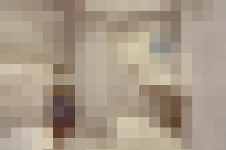 Het Dolomiet 8 Swifterbant thumbnail 24