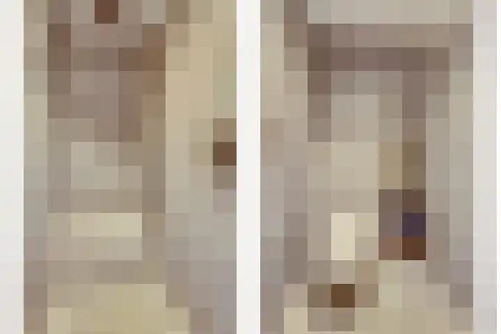 Het Dolomiet 8 Swifterbant thumbnail 25