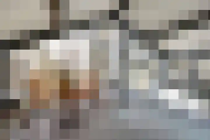 Het Dolomiet 8 Swifterbant thumbnail 27