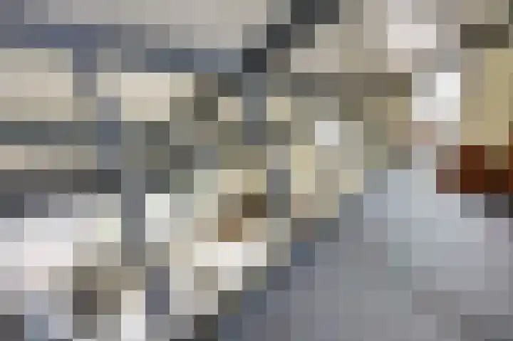 Het Dolomiet 8 Swifterbant thumbnail 29