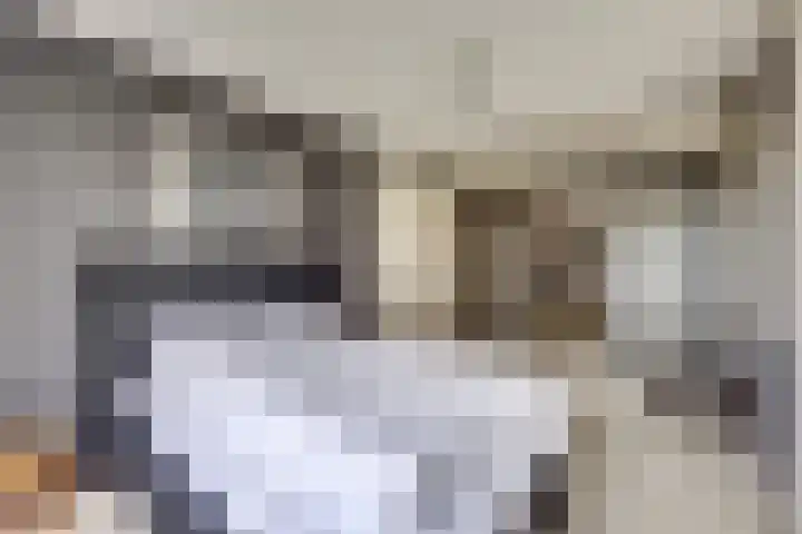 Het Dolomiet 8 Swifterbant thumbnail 31