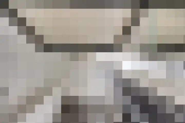 Het Dolomiet 8 Swifterbant thumbnail 35