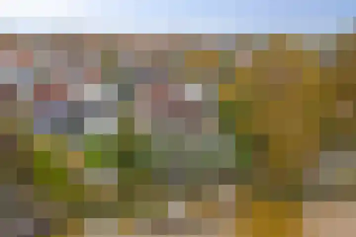 Het Dolomiet 8 Swifterbant thumbnail 39