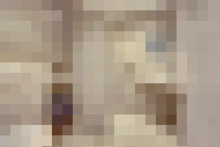 Het Dolomiet 8 Swifterbant thumbnail 4