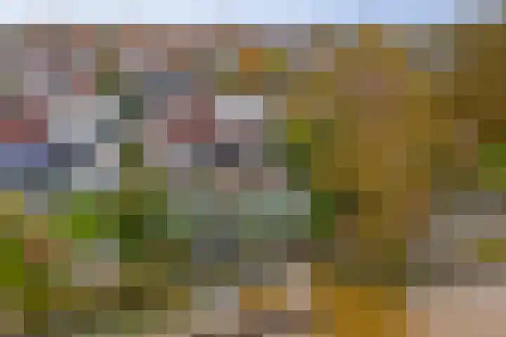 Het Dolomiet 8 Swifterbant thumbnail 40