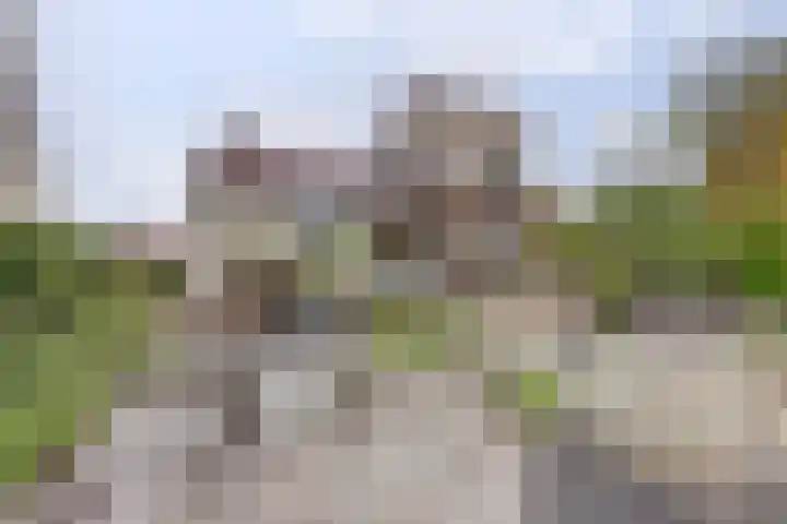 Het Dolomiet 8 Swifterbant thumbnail 41