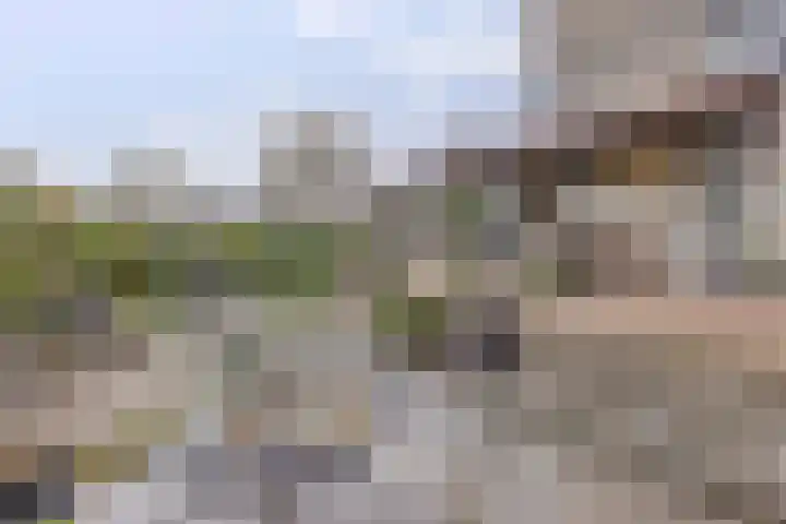 Het Dolomiet 8 Swifterbant thumbnail 42