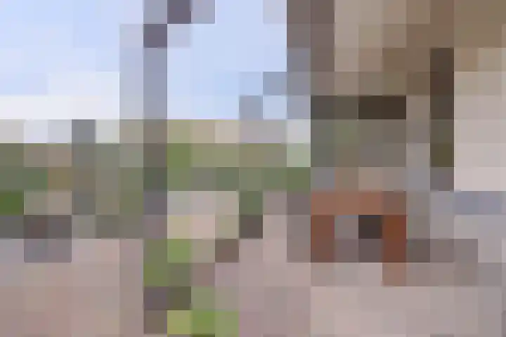 Het Dolomiet 8 Swifterbant thumbnail 43