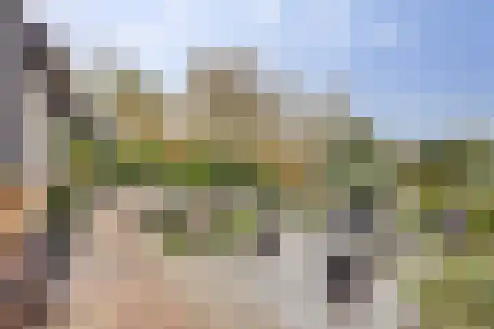 Het Dolomiet 8 Swifterbant thumbnail 44