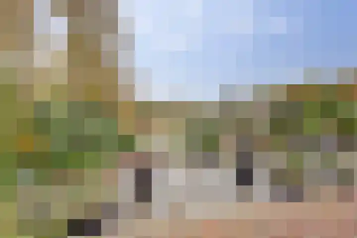 Het Dolomiet 8 Swifterbant thumbnail 45