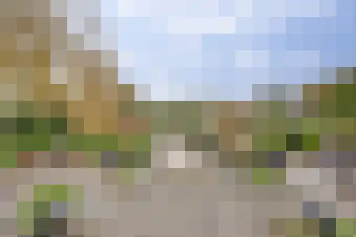 Het Dolomiet 8 Swifterbant thumbnail 46