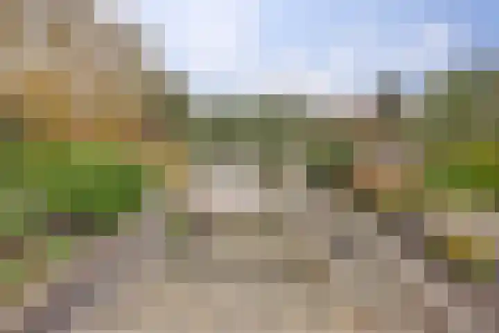 Het Dolomiet 8 Swifterbant thumbnail 47