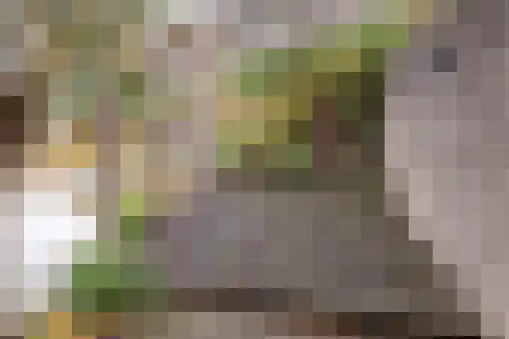 Het Dolomiet 8 Swifterbant thumbnail 49