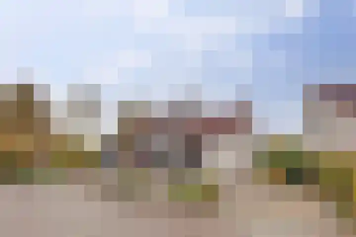 Het Dolomiet 8 Swifterbant thumbnail 5