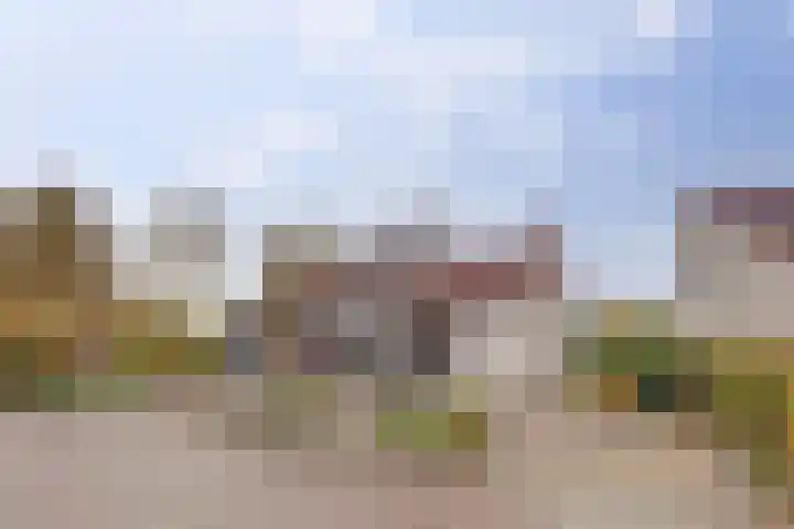Het Dolomiet 8 Swifterbant thumbnail 51