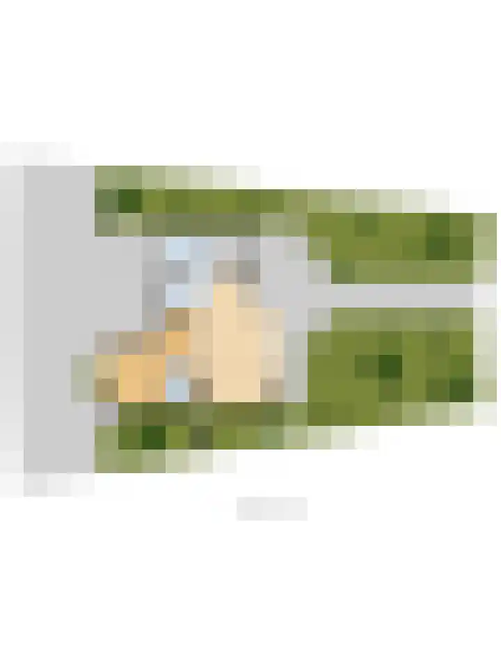 Het Dolomiet 8 Swifterbant thumbnail 54