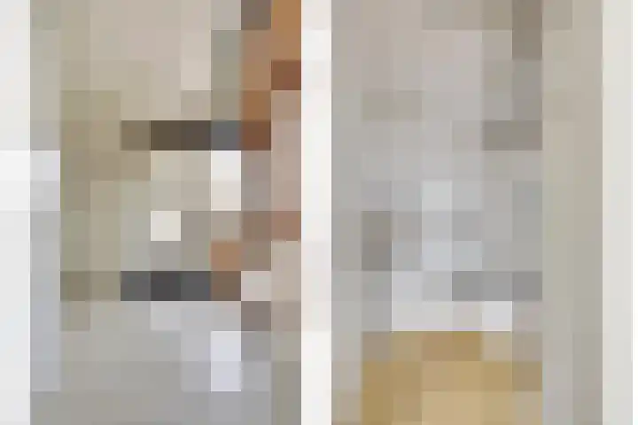Het Dolomiet 8 Swifterbant thumbnail 6