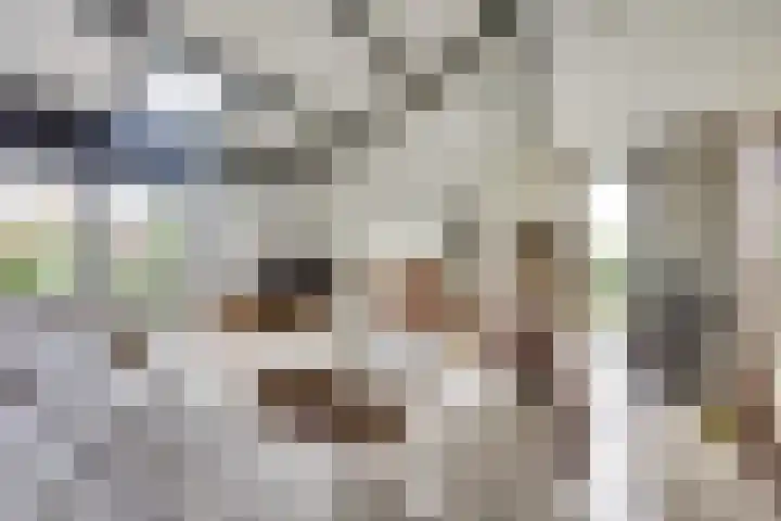 Het Dolomiet 8 Swifterbant thumbnail 7