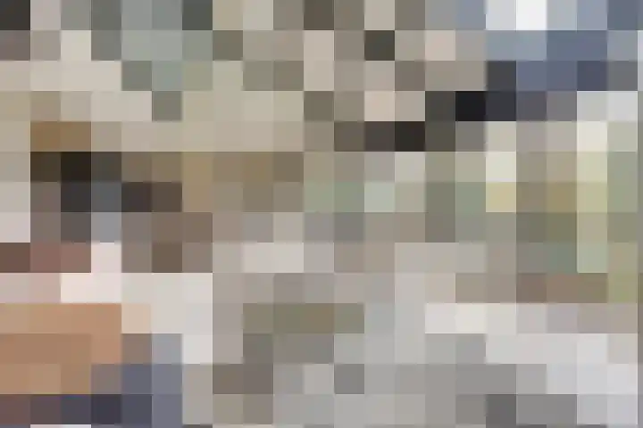 Het Dolomiet 8 Swifterbant thumbnail 9