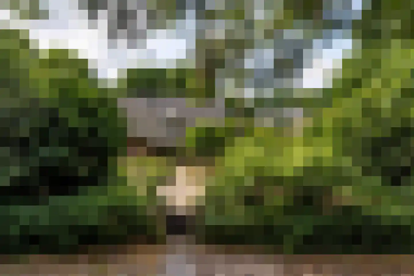 Het Domein 2 Blaricum thumbnail 4