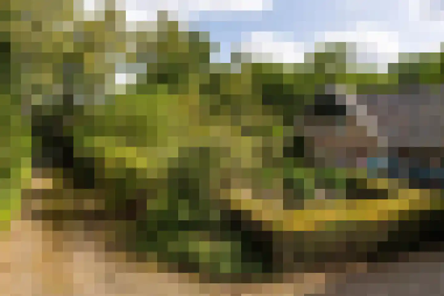 Het Domein 2 Blaricum thumbnail 45