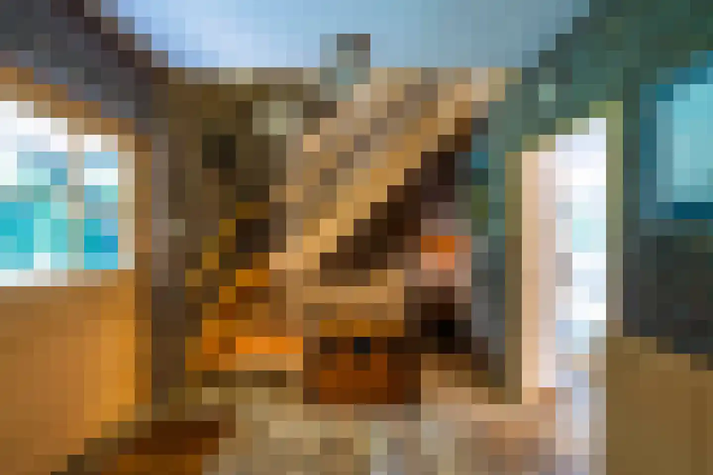 Het Domein 2 Blaricum thumbnail 7