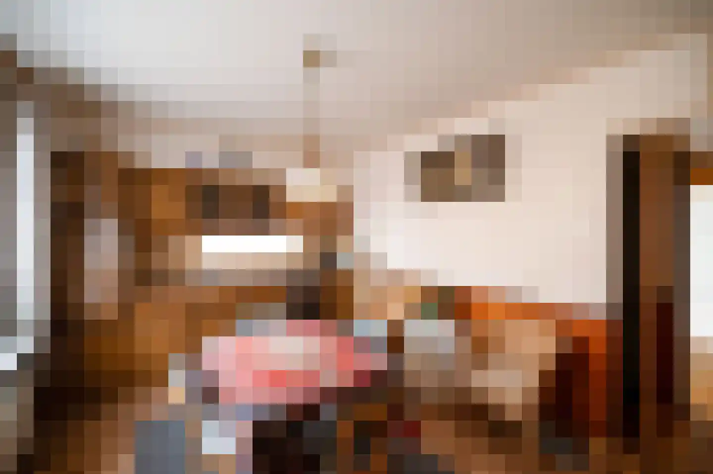 Het Drie 15 Uddel thumbnail 11