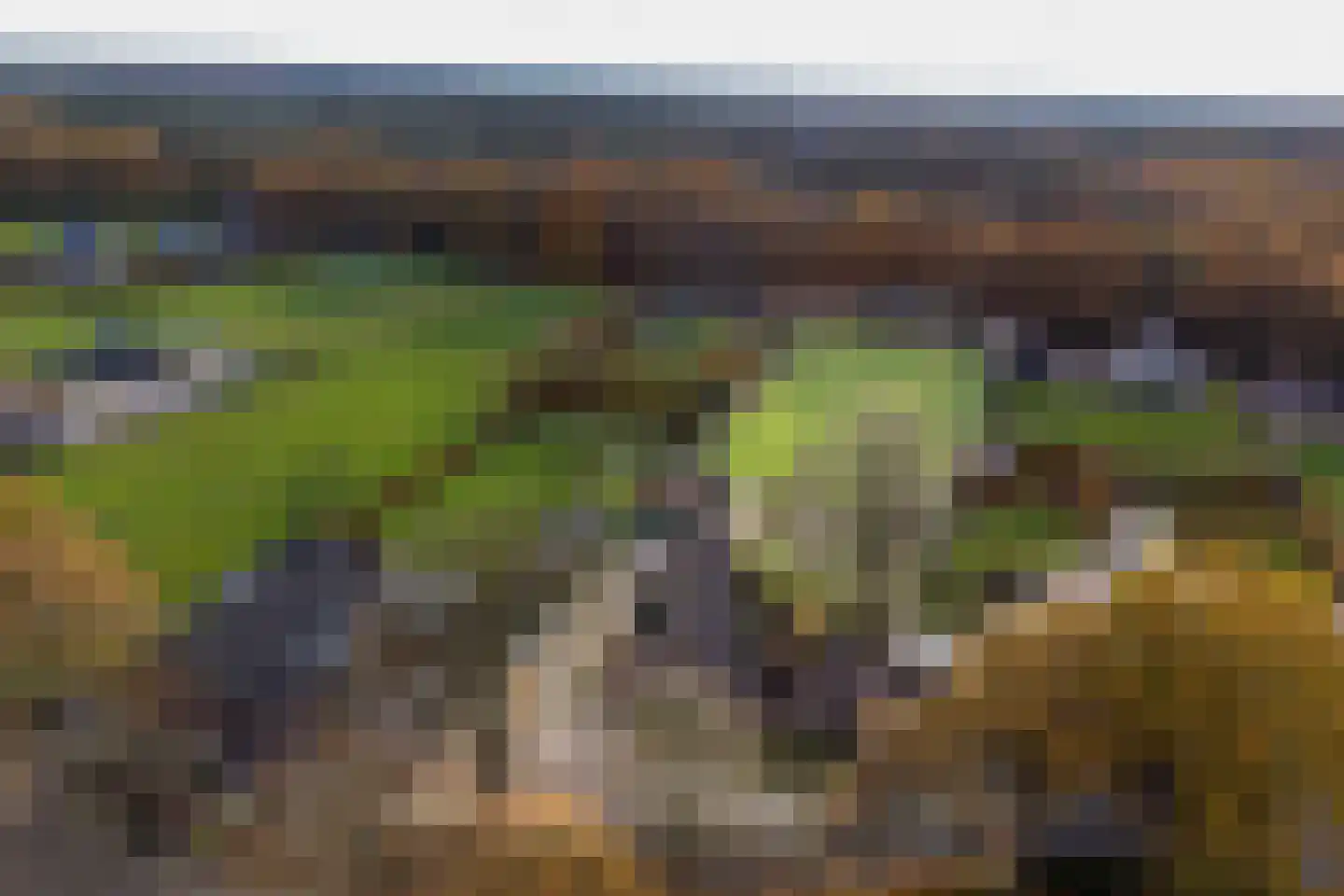 Het Drie 15 Uddel foto 2