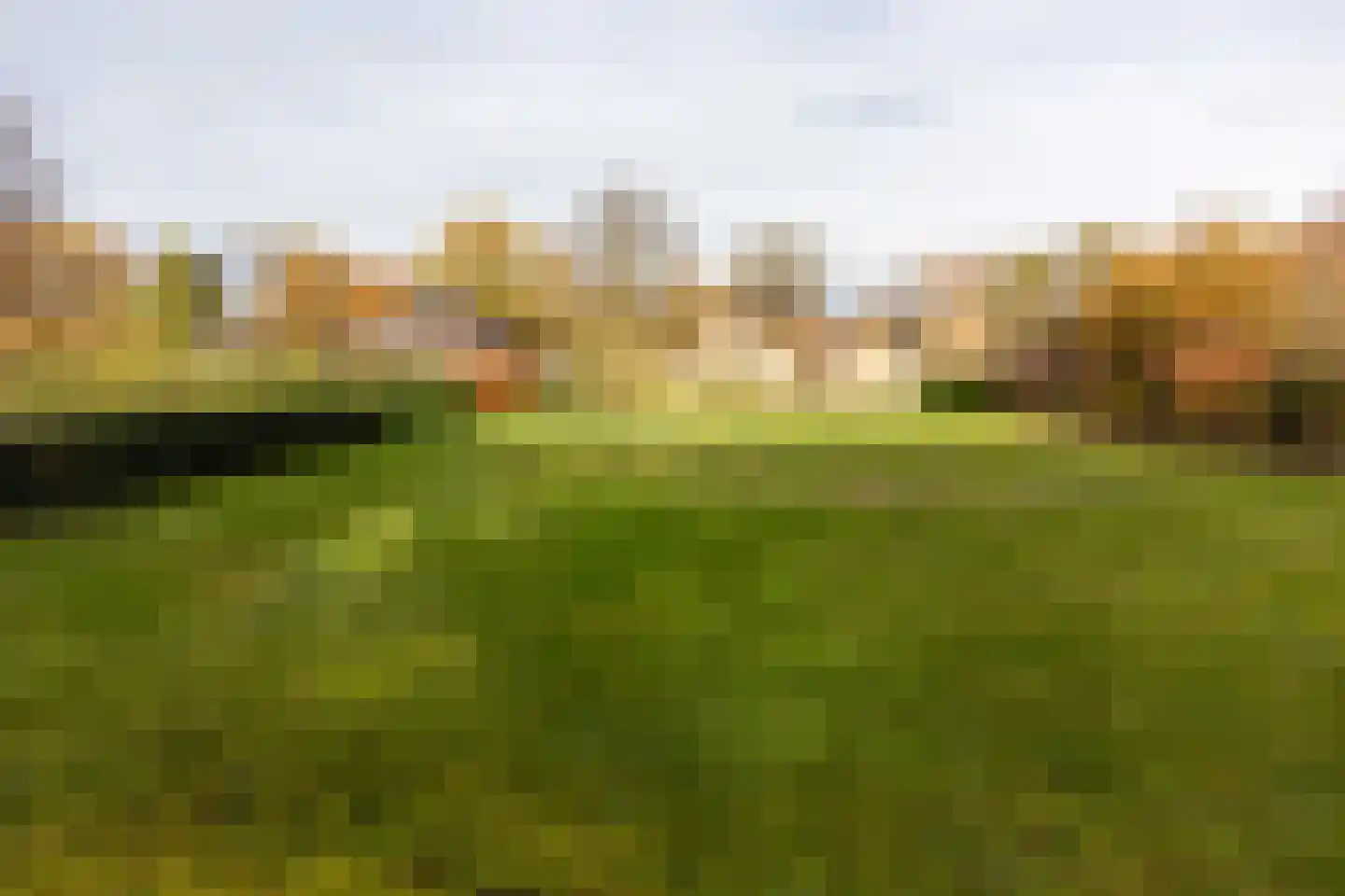 Het Drie 15 Uddel foto 3