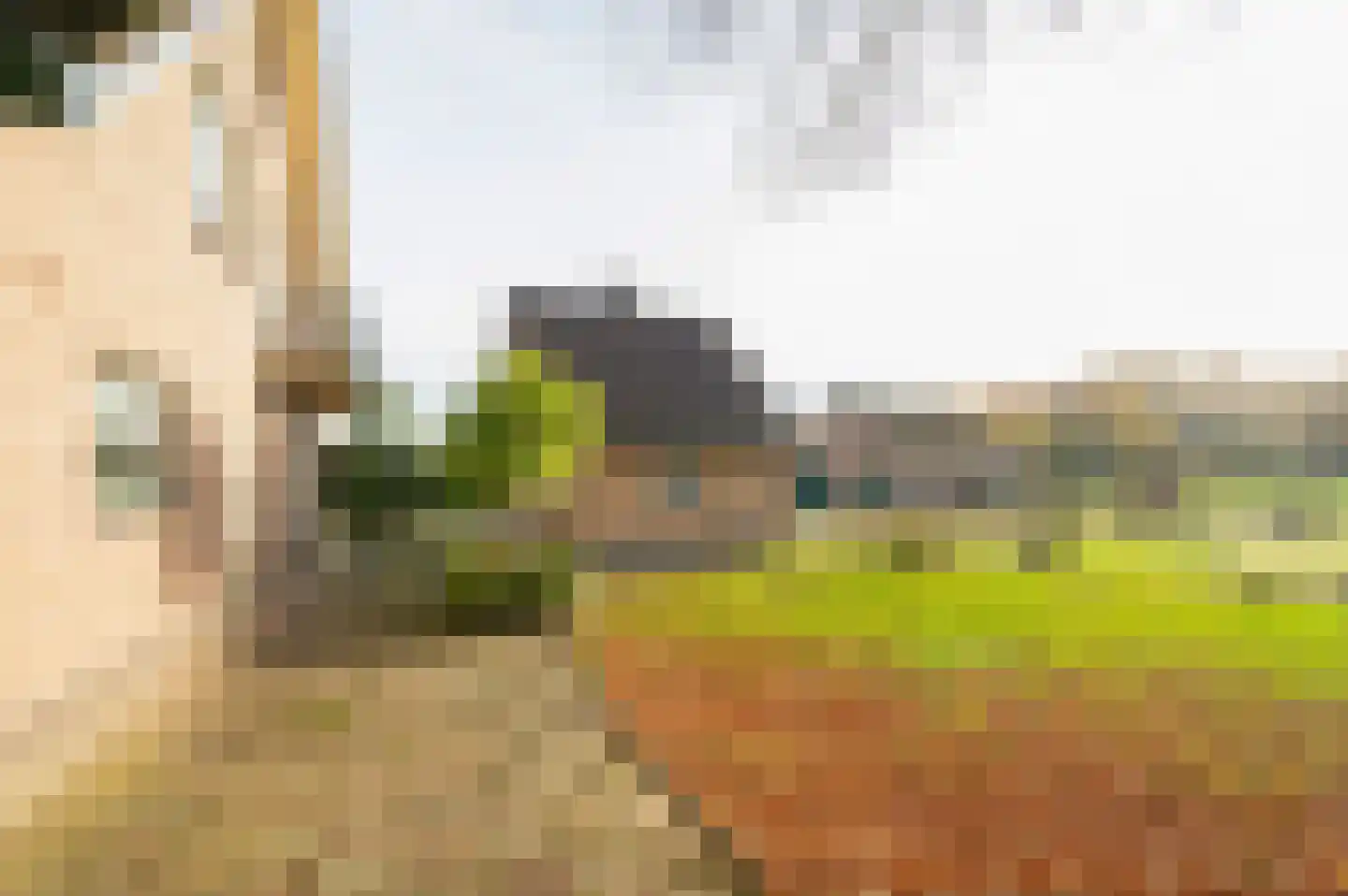 Het Drie 15 Uddel thumbnail 32