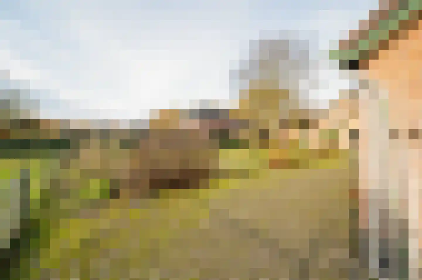 Het Drie 15 Uddel thumbnail 35