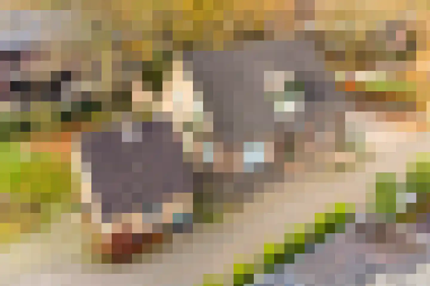 Het Drie 15 Uddel thumbnail 39