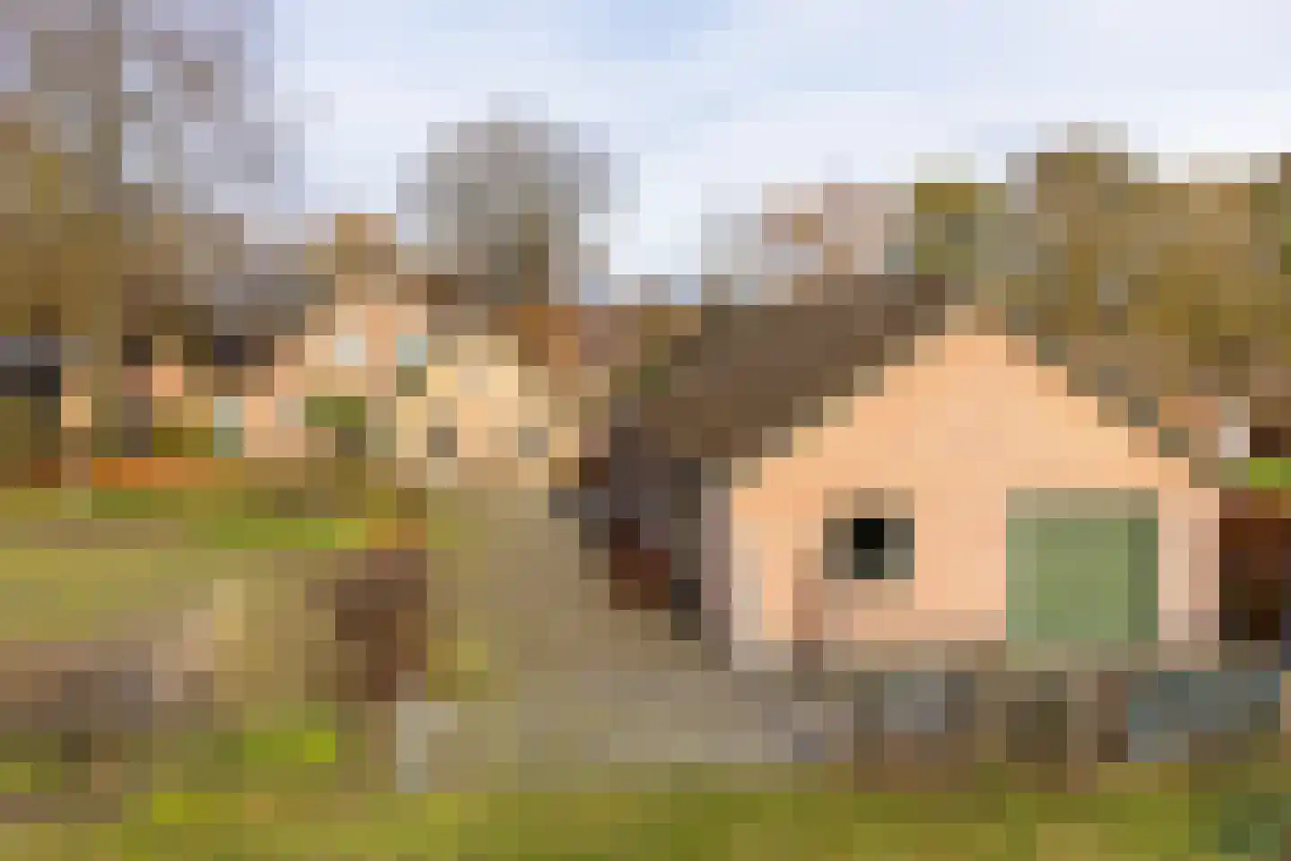 Het Drie 15 Uddel thumbnail 6